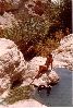 Shi Ein Gedi 75